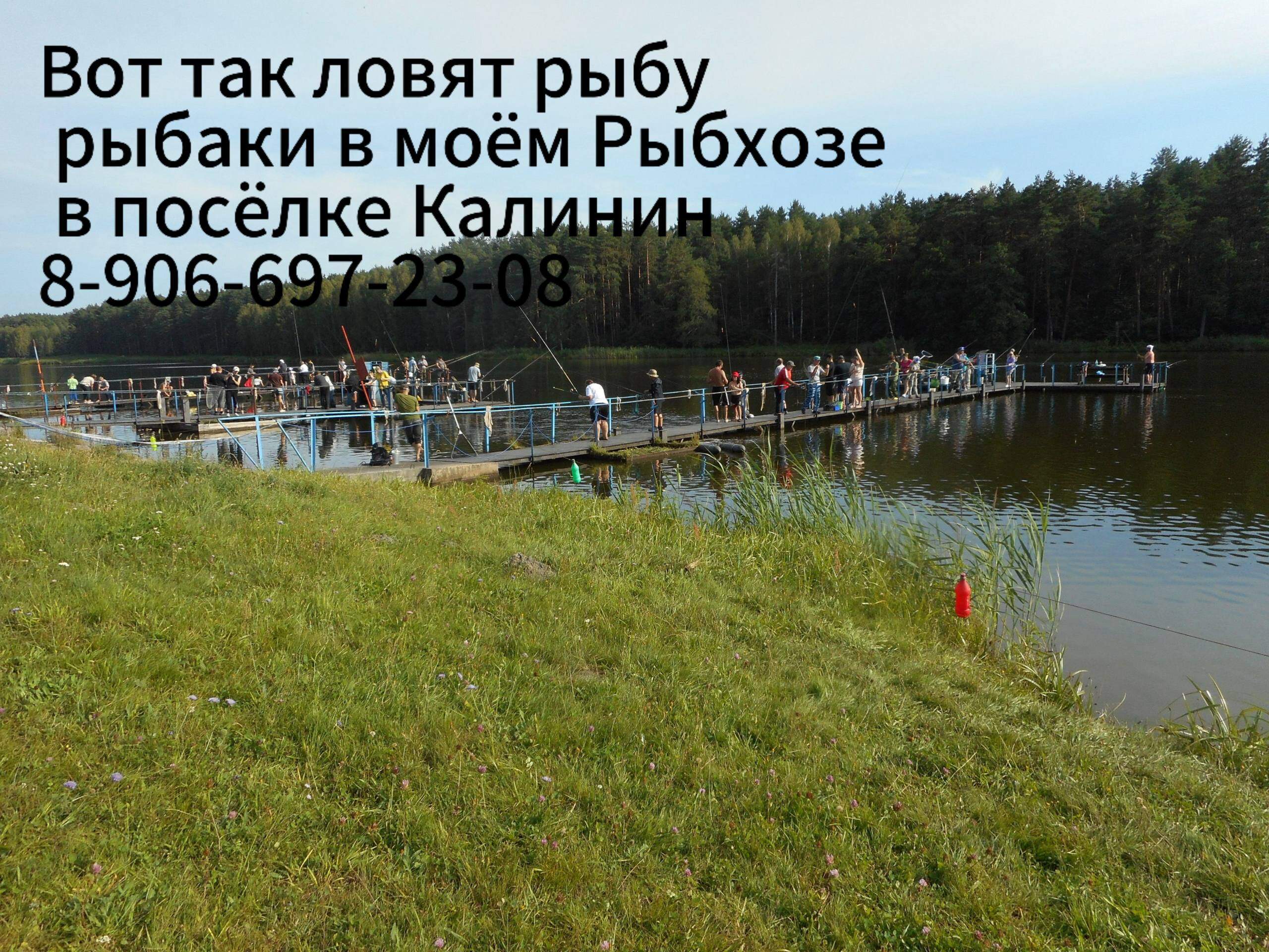 Рыбное хозяйство Калинин